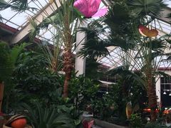 -红栌温泉山庄生态美食餐厅