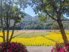 -广州市石门国家森林公园