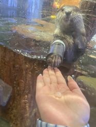 -Zoolung Zoolung动物主题公园(海信广场店)