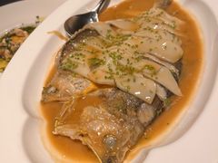 -桂满陇·海市蜃楼·黑金(国金店)