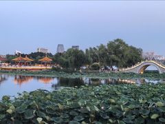 -长春市南湖公园