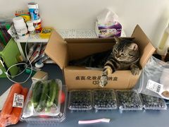 -纳吉亚猫专科动物医院博雅分院