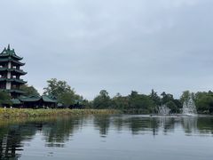 -桂湖森林公园