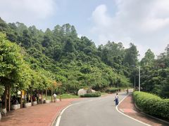 -火炉山森林公园