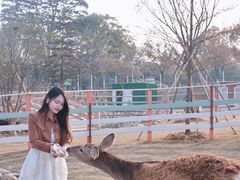 -盈香心动乐园