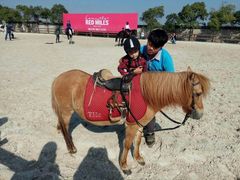 -松声马术俱乐部