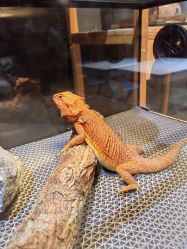 -酷嗒动物文化乐园(cutezoo西溪乐天城店)