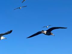 -海驴岛(荣成市)