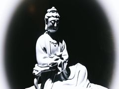 -觀芷隐轩