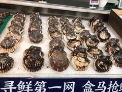 -盒马X会员店(王府井奥莱UP TOWN店)
