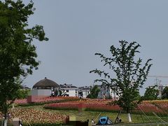 -径山花海