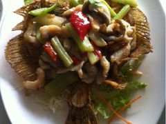 海皇酱爆多宝鱼-汤城小厨•粤菜•靓汤(金融街店)