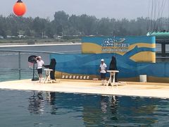 -秦皇岛乐岛海洋王国