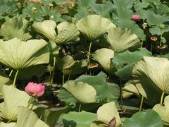 -长春世界雕塑园冰雪艺术天地