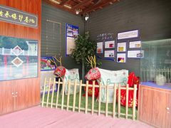 -十万大山布透温泉