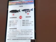 -全乐鱼馆·淳牌有机鱼直营店