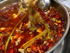 -蛙蛙鸡冷锅鱼(驷马桥店)