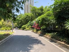 -晓港公园