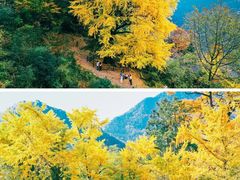 -四明山国家森林公园