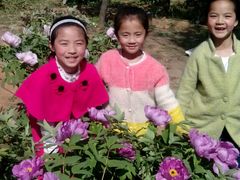 -洛阳郁金香牡丹园