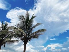 -三亚蜈支洲岛旅游区