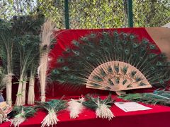 -西双版纳傣族园