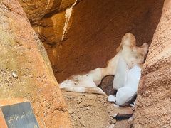 -天山神秘大峡谷