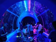 -欢乐海岸海洋奇梦馆