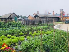 -北极村旅游风景区