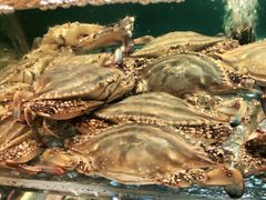 -阿马蛋汤·宁波小海鲜(总店)