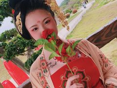 -丹樱生态园