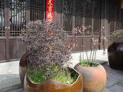 -西溪国家湿地公园