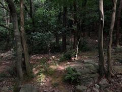 -虞山风景区