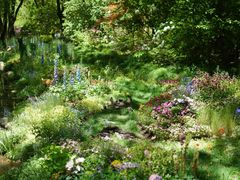 -上海共青森林公园