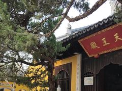-司徒庙