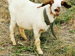 -天津东丽湖风景区