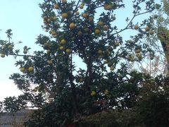 古寿圣寺-古寿圣寺