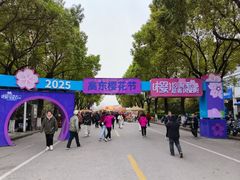 -高东镇樱花园