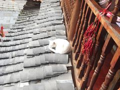-胖妈酸汤鱼(总店)