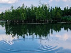 -白鹭湾湿地公园