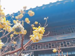 -茅山东方盐湖城景区