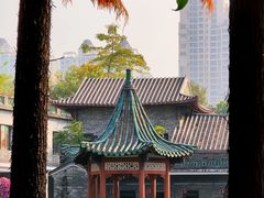 -东莞市可园博物馆