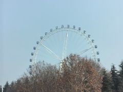 -宜兴龙背山森林公园