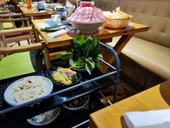 -洪氏嗨捞·广东猪肚鸡·椰子鸡火锅(西咸万象城店)
