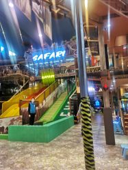 点击看大图 -卡通尼·Safari非洲探索乐园·生日会(金桥国际商业广场店)