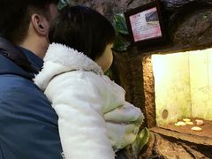 -上海大自然野生昆虫馆