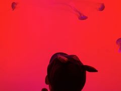 -沈阳海洋探索中心