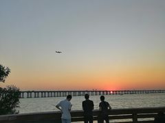 -宝安西湾红树林湿地公园