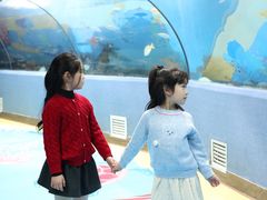 -合肥海洋世界