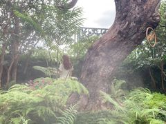 -Chom Cafe and Restaurant